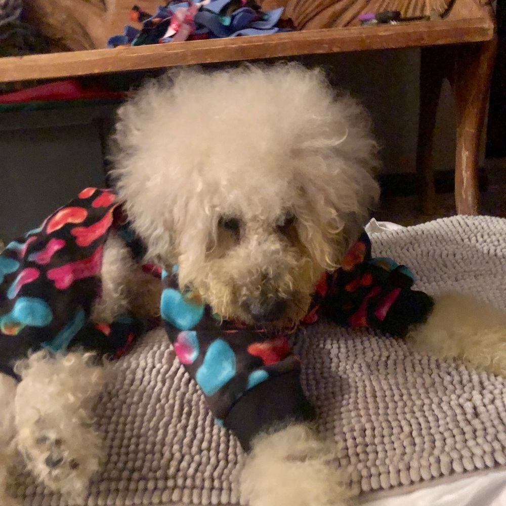 ⭐️Posh Ambassador II ⭐️ - Picture 11 of 16